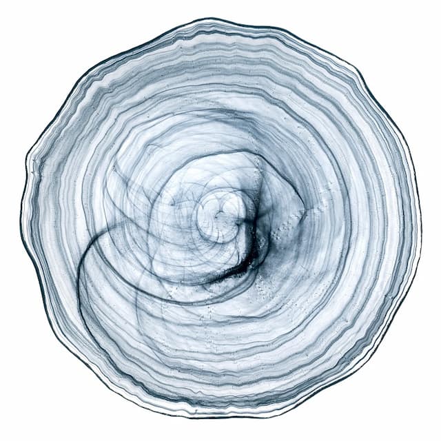 Блюдо ARDACAM Amorf ARD 2046.47 d 33 см h 2 см (стекло, цвет / декор бирюзовый с белым)